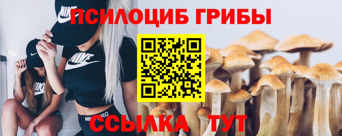 Галлюциногенные грибы прущие грибы  Псилоцибиновые грибы мицелий  Вход с VPN  Сорочинск 